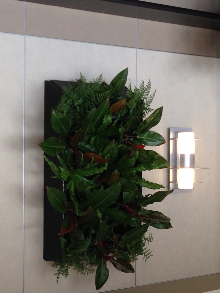 One of the four living wall installations at BOS Terminal E. Photos courtesy of AIRMALL.