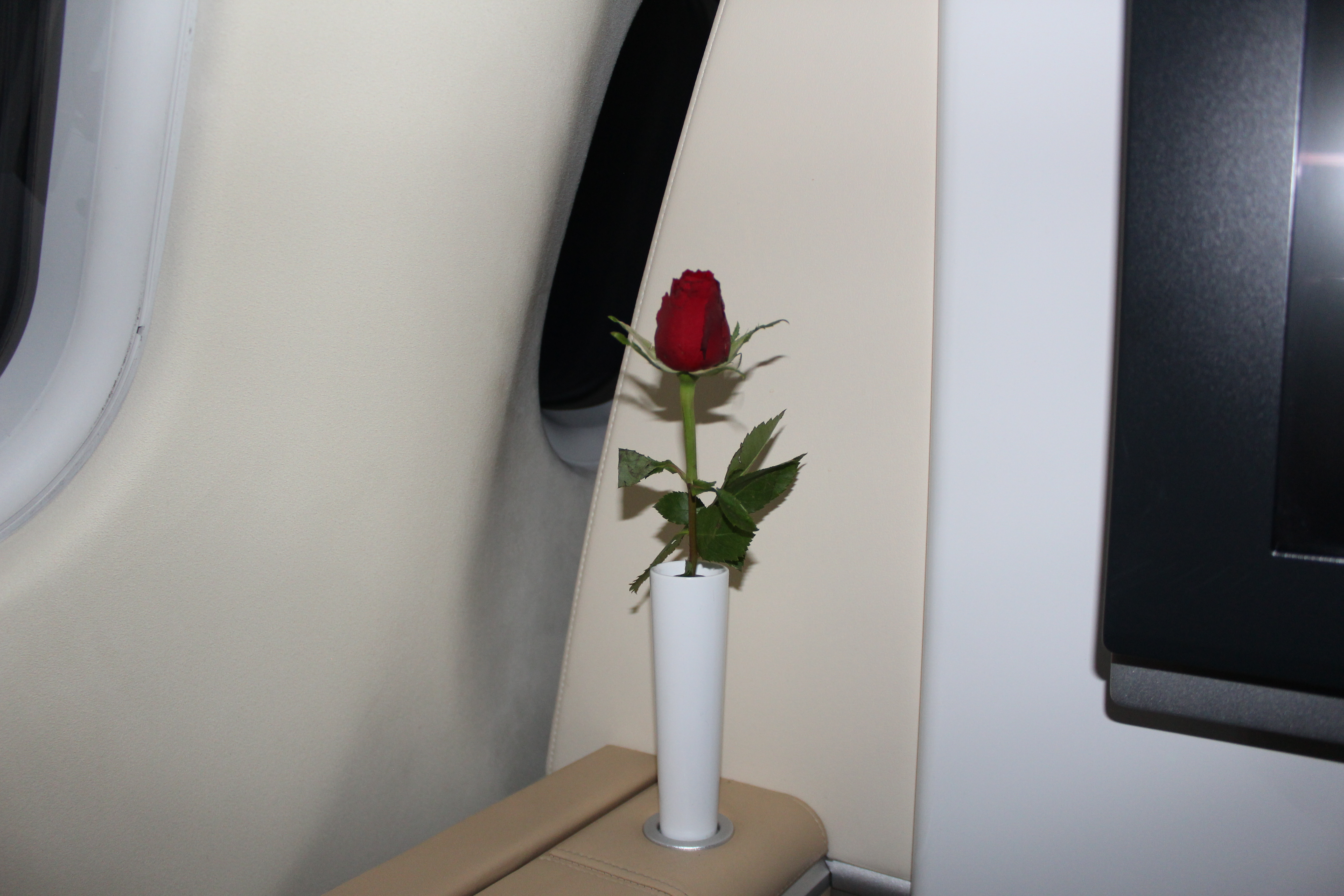 Lufthansa First Class Rose