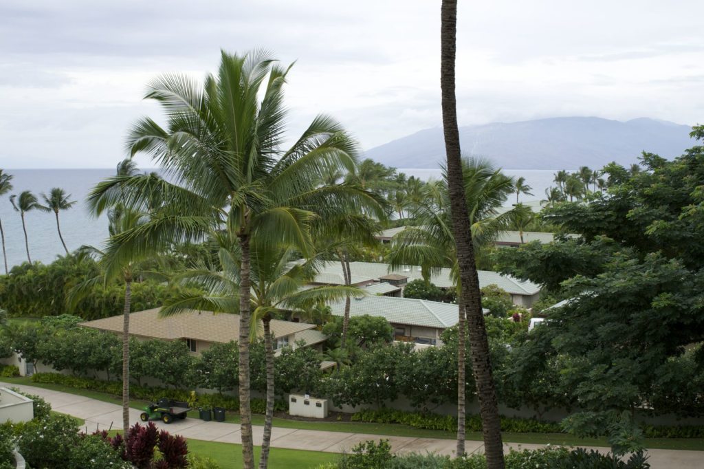 Andaz Maui View