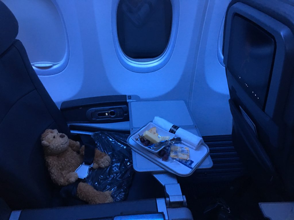 a teddy bear on a tray in an airplane