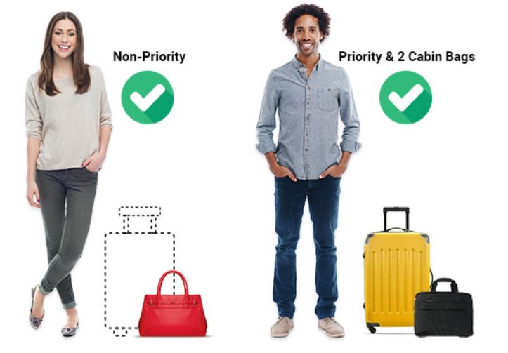Ryanair Priority And 2 Cabin Bags By Mail - DesaignHandbags